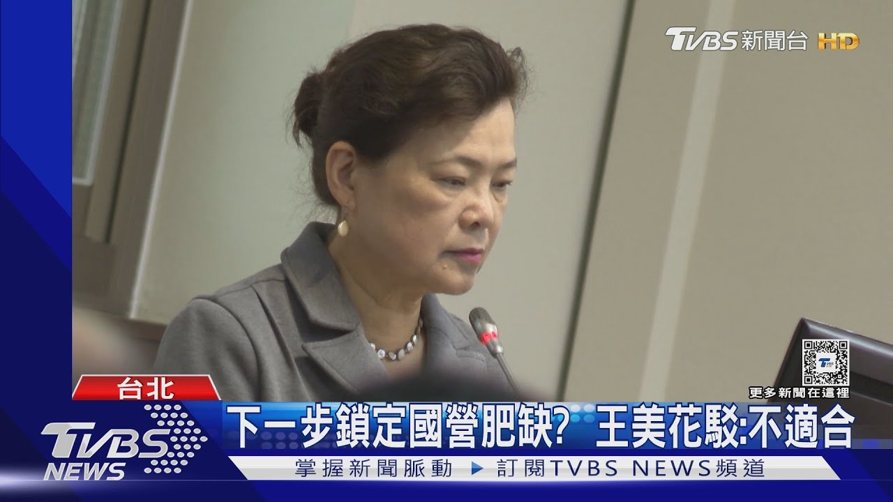 國營鋼油電董座恐換血!王美花盼專業考量