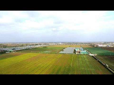 Rural Chinese Farmers