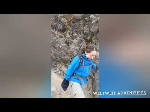 One of our Kilimanjaro trek trip