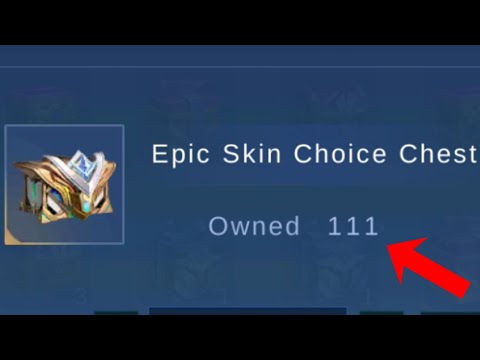 Opening EPIC Skin Chest for 1 YEAR