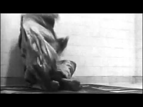 Necter Low - Artificial One (Vanity Records, 1981)