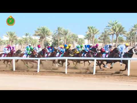 الشوط الثاني- السباق الرابع - 10/11/2018 - Race 4 2nd meeting