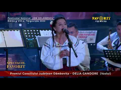 Delia Gandore - Premiul Special al Consiliului Județean Dâmbovița