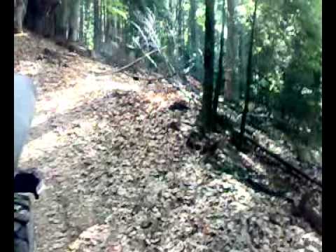 spre Iezer prin Voievoda 2