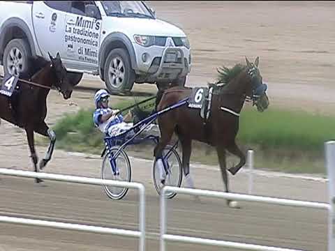 Trotto 06/06/2019 - 3ª corsa