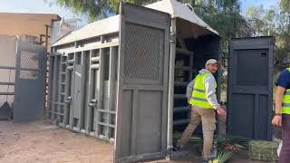 Kenya is In Her Crate