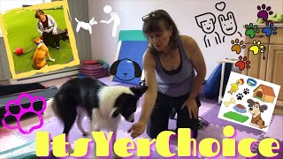 How to Train Your Dog to Leave It with No Command: Susan Garrett