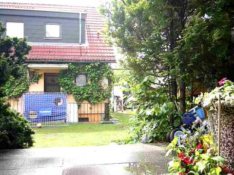 Terrasse , Schaukel 21m (1).MOV