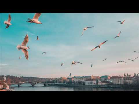 Blue Wednesday - Murmuration (feat. Shopan)