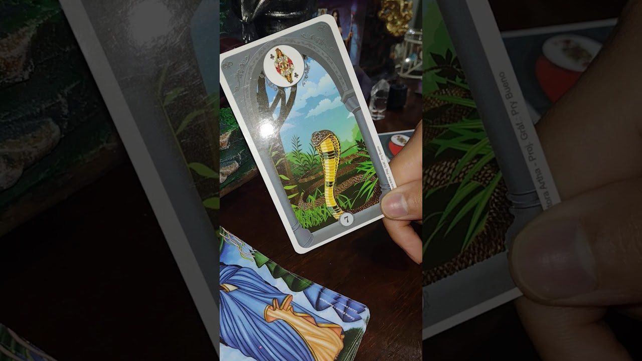 Embaralhamento,corte e método (baralho cigano) #baralhocigano#sarakali