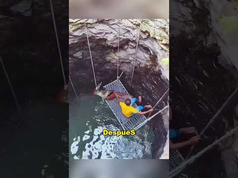 A kind-hearted man rescues a peacock that had fallen into the water.#Wildlife #animals #US #fyp