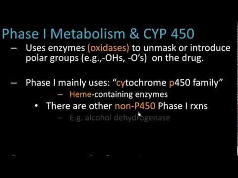 第Ⅰ相代謝-薬理学講義7 (Phase I Metabolism - Pharmacology Lect 7)