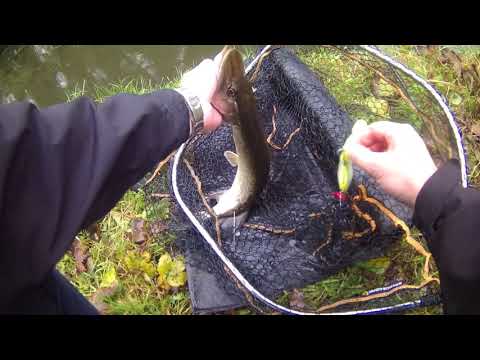 Pike fishing on the local canal - Testing Headbanger lures