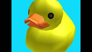 Duck Quack 1 Hour