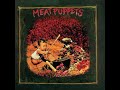 Meat Puppets - Electromud (Unpleasant Warm -Up Session)