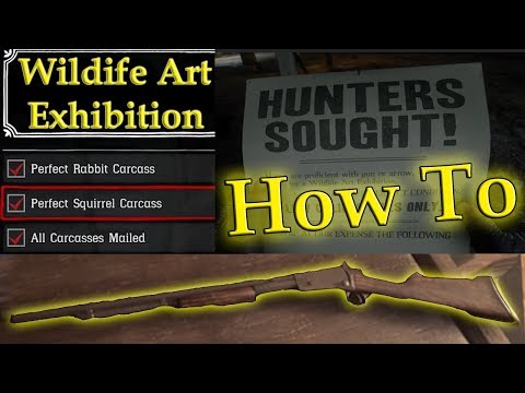 How to Complete the Wildlife Art Exhibition Stranger Quest in Red Dead Redemption 2 [First Step]