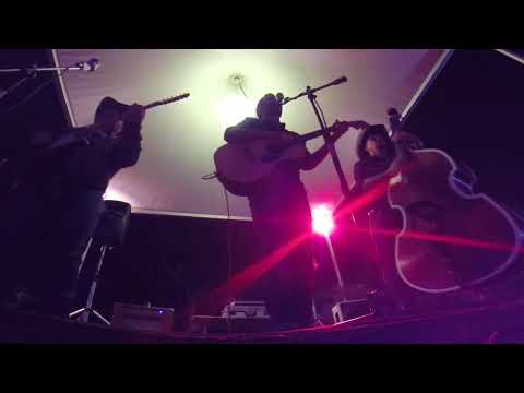 FANCY HOPPERS - LIVE River Pub - Quarrata ☆ Rockabilly Old Country Swing