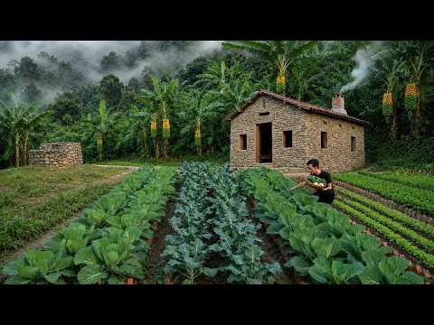 After going bankrupt, I returned to my hometown and lived alone in the mountains .