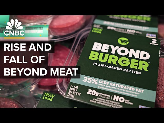 The Rise and Fall of Beyond Meat: Analyzing the Plant-Based Meat ...