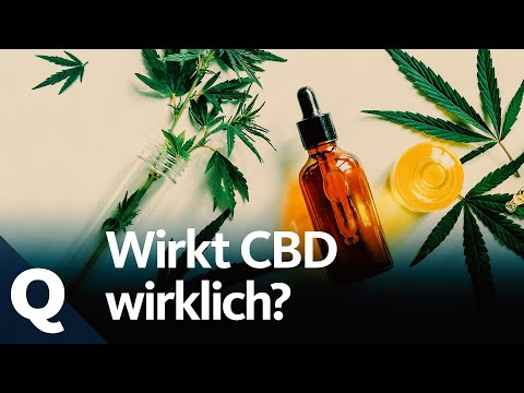 CBD: Lifestyleprodukt oder Allheilmittel? | Quarks