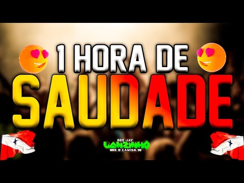 🛑 1 HORA DE SAUDADE PRA VOCÊ QUE DA VALOR DJ LANZINHO MIX ▶️
