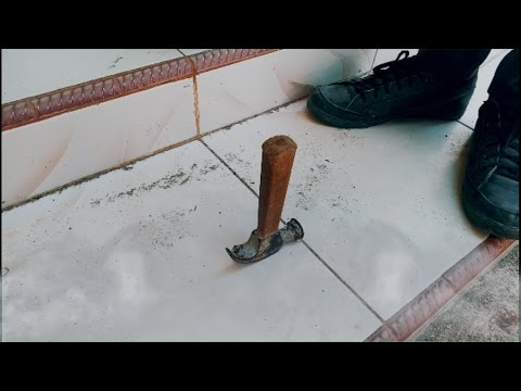 Apa makanan membantu potensi Obat tradisional untuk menurunkan potensi