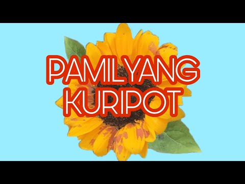 Deng pamilyang kuripot (kapampangan song)