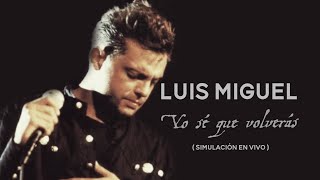 Luis Miguel - Yo Sé Que Volverás (Simulación En Vivo)