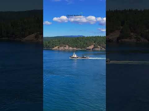 Thumbnail for Pacific Star Salmon Tender Circles the San Juan Islands | WA Salmon Season (DJI Mini 4)