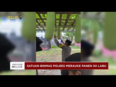 PRESISI UPDATE: SATUAN BINMAS POLRES MERAUKE TANAM BENIH LABU 27/03/2025 18.00