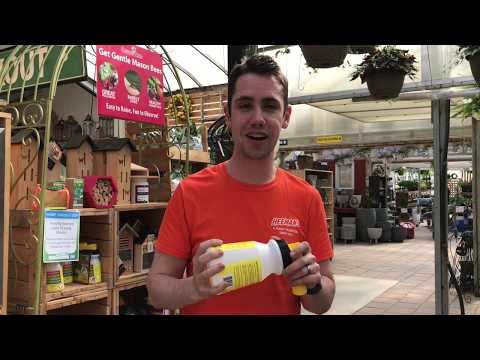 Nematodes 101: When & How to Apply