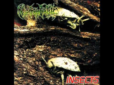 Nyctophobic - They.wmv