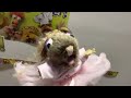 Yolanda The Rat Sings The Best Part