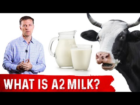 What Is A2 Milk? – Dr. Berg