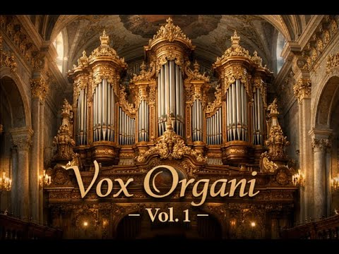 Vox Organi -  Vol. 1 (Ascension) (Classical Organ Music)