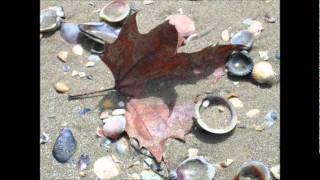 Our world Marie Brennan