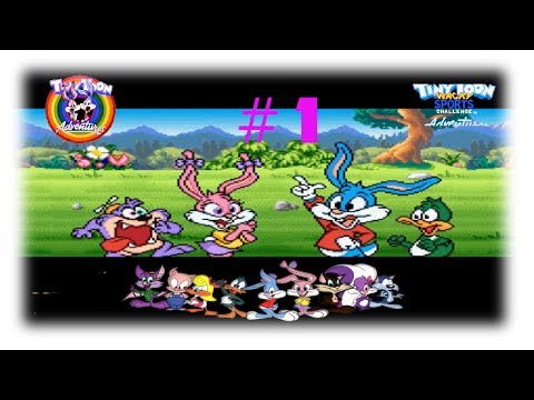 Tiny Toon Adventures : Wild & Wacky Sports Super Nintendo