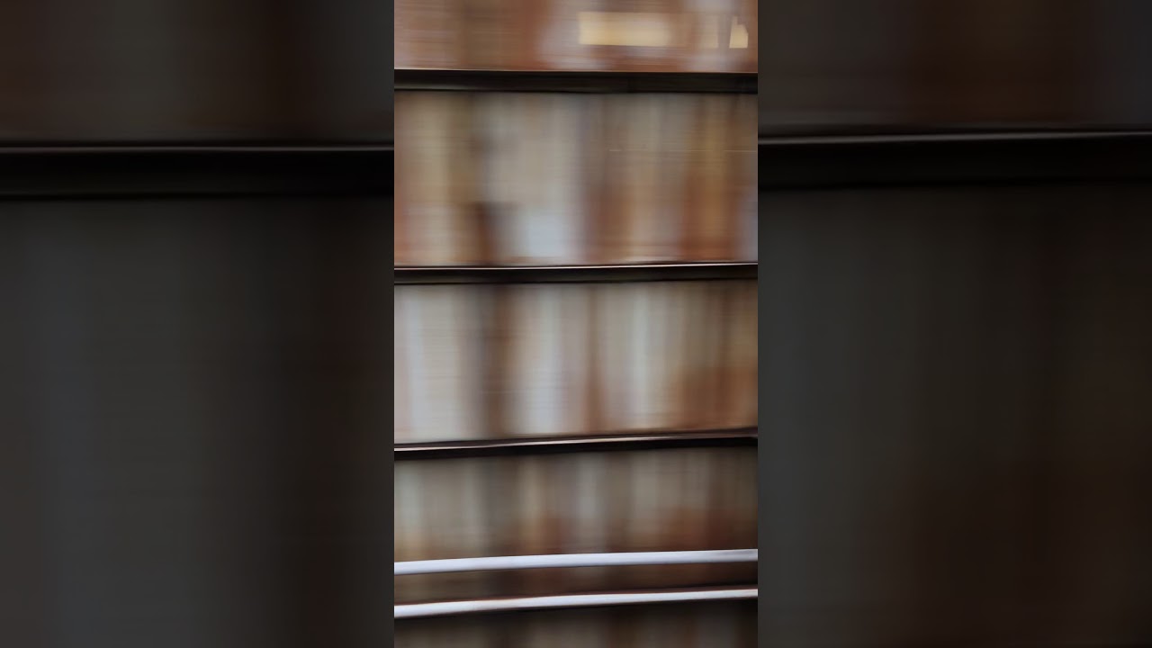 近鉄電車 新型特急【ひのとり】高安車庫 車窓から！