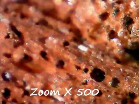 Stick of Matches Under a Microscope