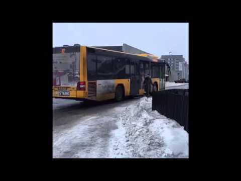 Piffissaq atorluaruk - Multimedie, Ilinniarfissuaq