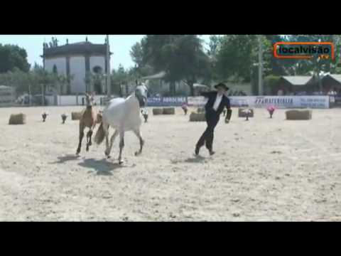 Reportagem da 'LocalVisãoTV' sobre a IV Feira do Cavalo de Ponte de Lima