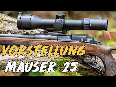 Introduction - Mauser 25
