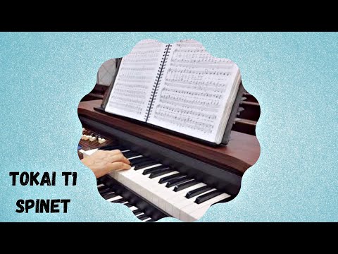 COMO LIGAR O ÓRGÃO TOKAI - T1 SPINET