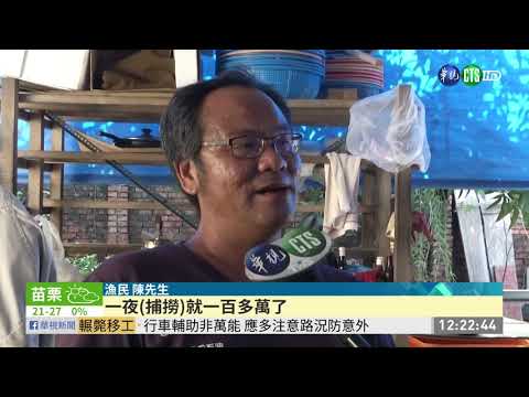 屏東沿海鰻苗爆發 漁民一夜撈回百萬