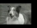 Nickelodeon Promo Lassie Farm Opera