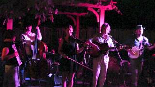 Black Prairie - Little Song Bird