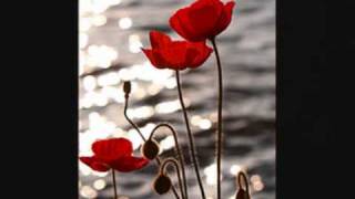 Monsieur Zen chante Comme un petit coquelicot de Mouloudji