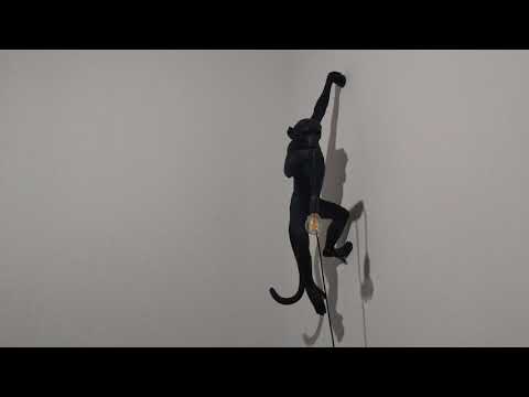 Kapitan Piast i Zatyl o Brudnym Kolorze