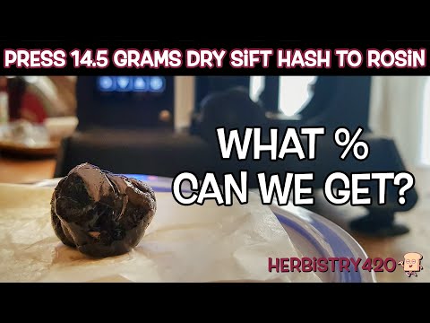 Press Dry Sift Hash Rosin Yield — 5 Amazing Tips