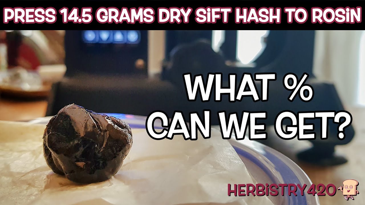 Press Dry Sift Hash Rosin Yield — 5 Amazing Tips